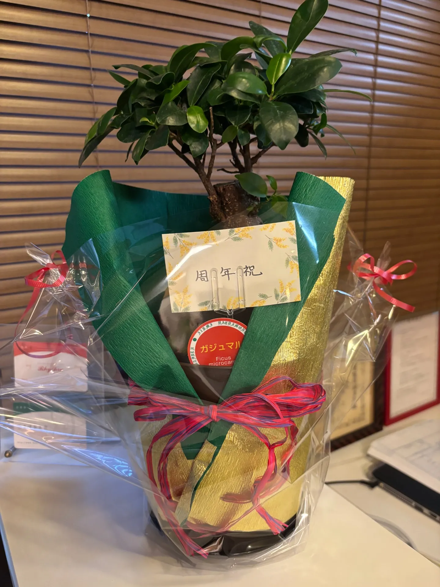 奈良市でオステオパシー整体いんちょうの気ままなブログ